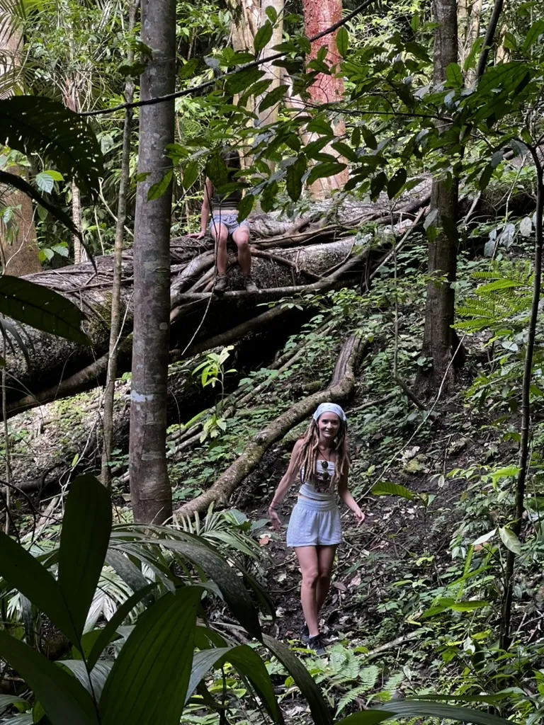 Hiking over giant tree roots in the Lacandón jungle